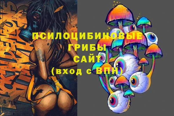 метадон Горняк